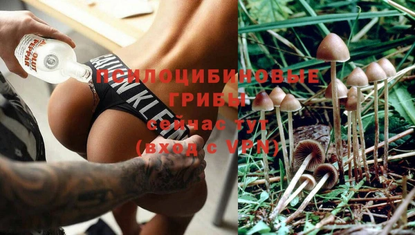 MESCALINE Алзамай