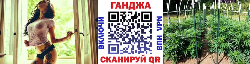 Марихуана Amnesia  где продают наркотики  даркнет состав  Зверево  mega рабочий сайт 